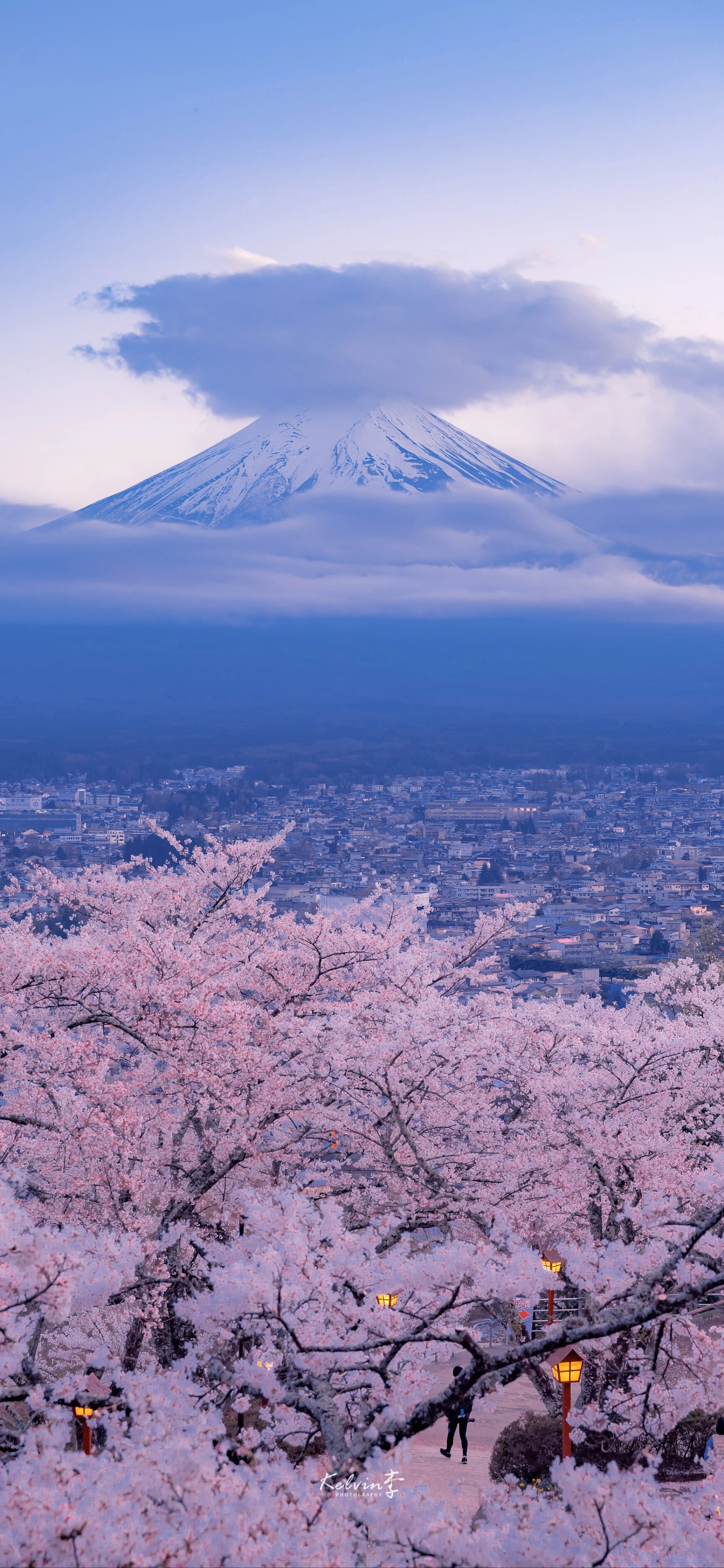 富士山|壁纸