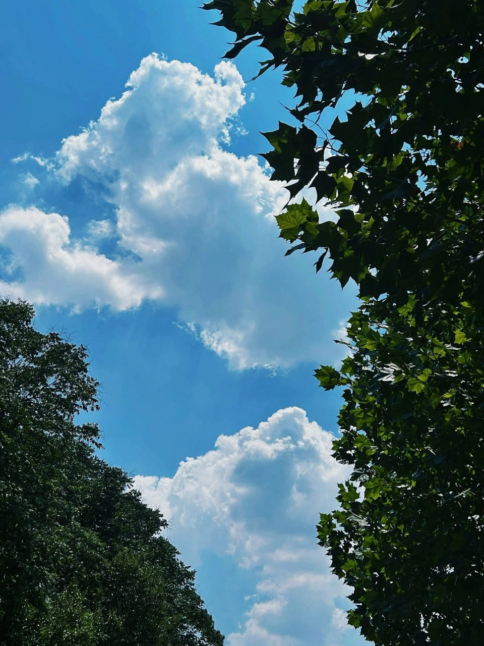 02 天放晴了,从窗口望出去,一块透明的蓝天,像一张丝手帕,蓝天上停留