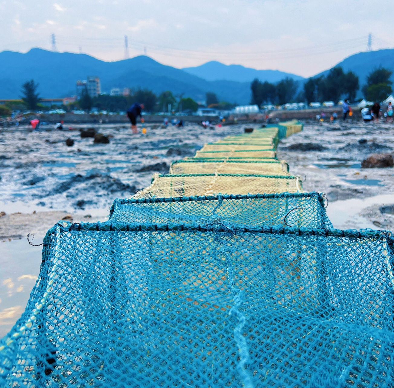 深圳周边自驾赶海攻略～小桂村 小桂码头赶海   深圳龙岗自驾过去约一