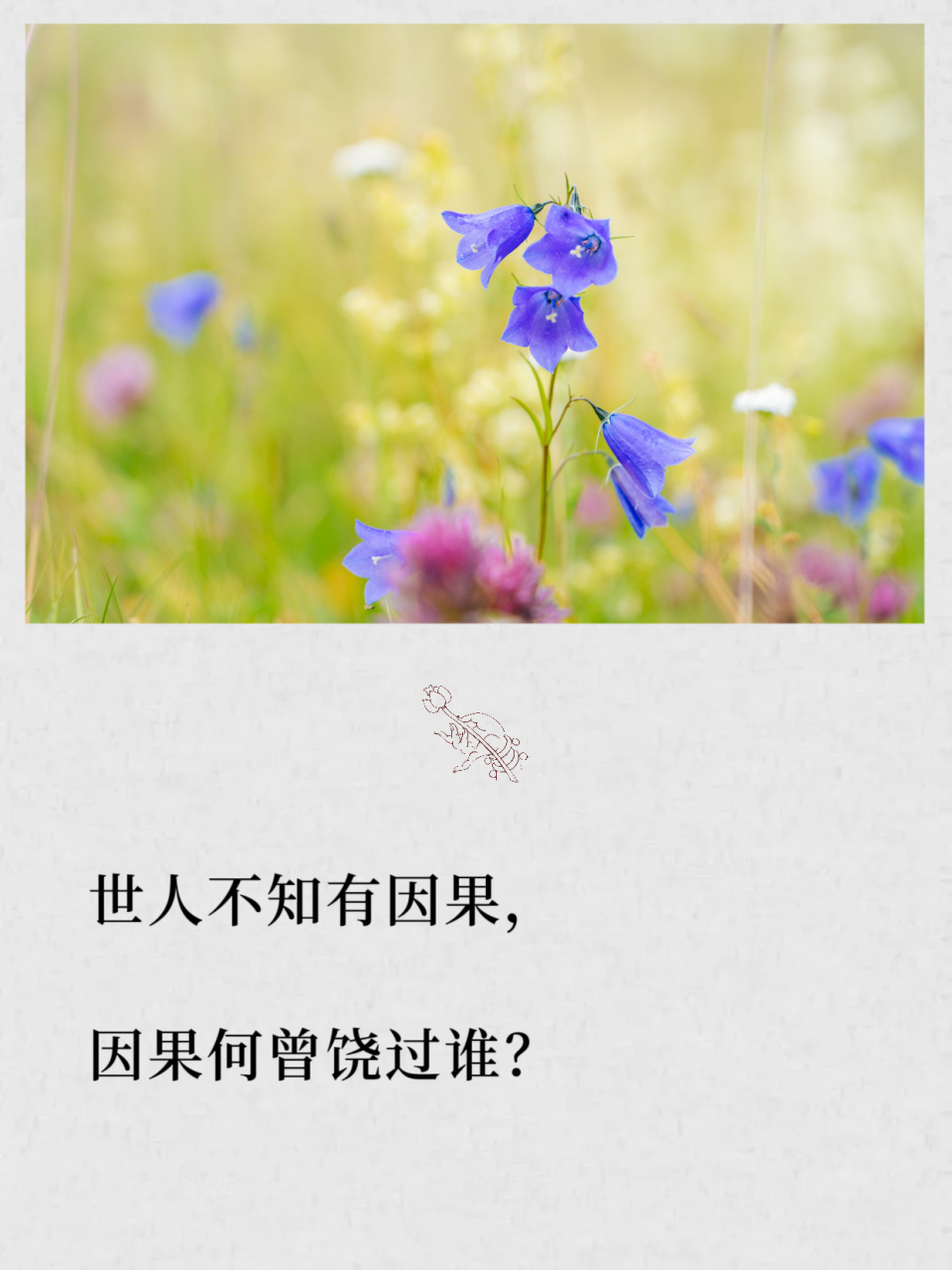 世人不知有因果,因果何曾饶过谁? #禅悟人生