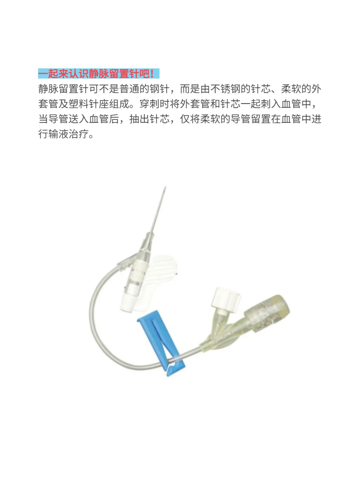 留置针宣教图片图片