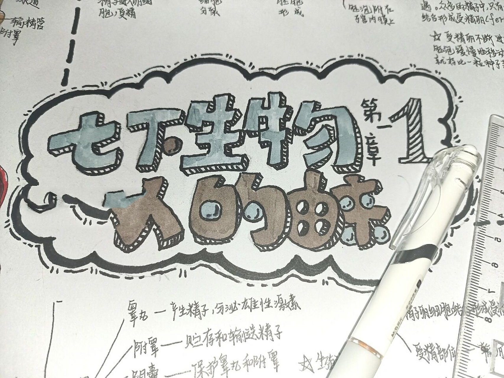 七下生物思维导图 这期是人的由来思维导图 请勿用于比赛转载等 这个