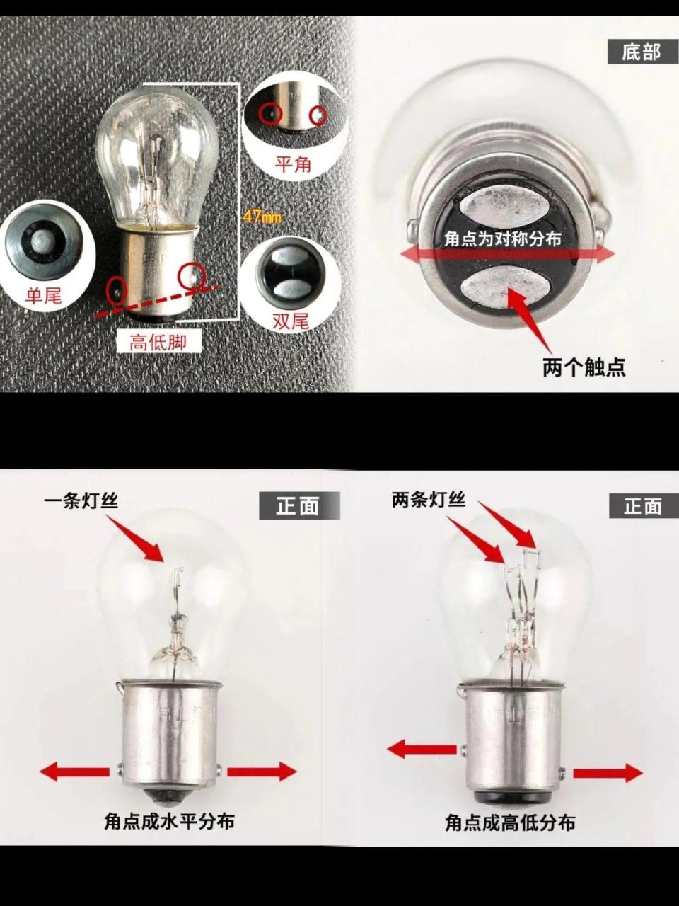 宝车灯泡 汽车刹车灯 转弯灯泡单丝平角 双丝高低角刹车灯泡