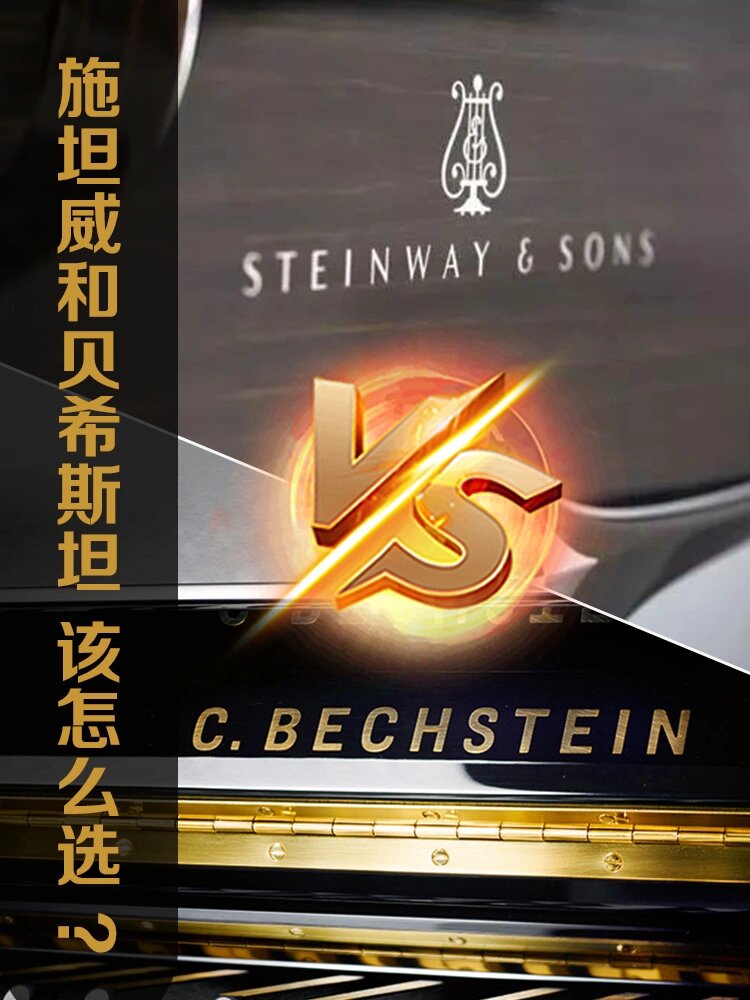 施坦威和贝希斯坦该怎么选?