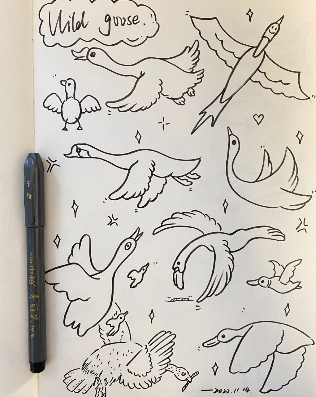 控笔练习day5661516615 现在的大雁是往哪飞呢