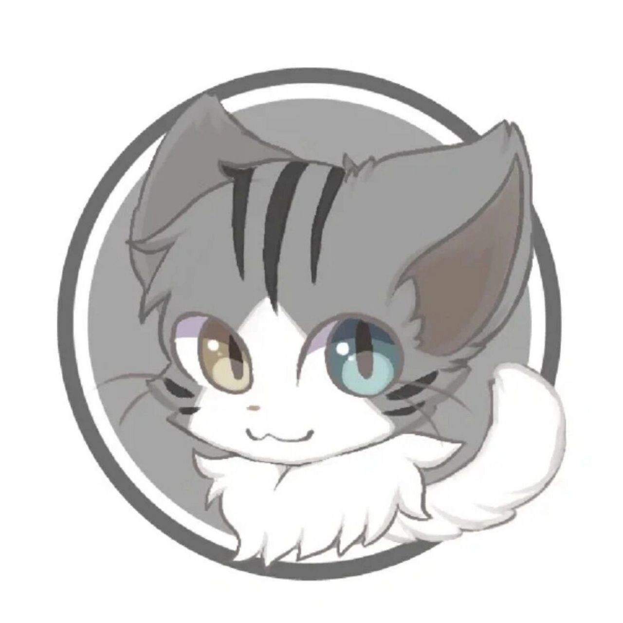猫武士头像 猫武士头像来了     你们知道都是哪些猫吗