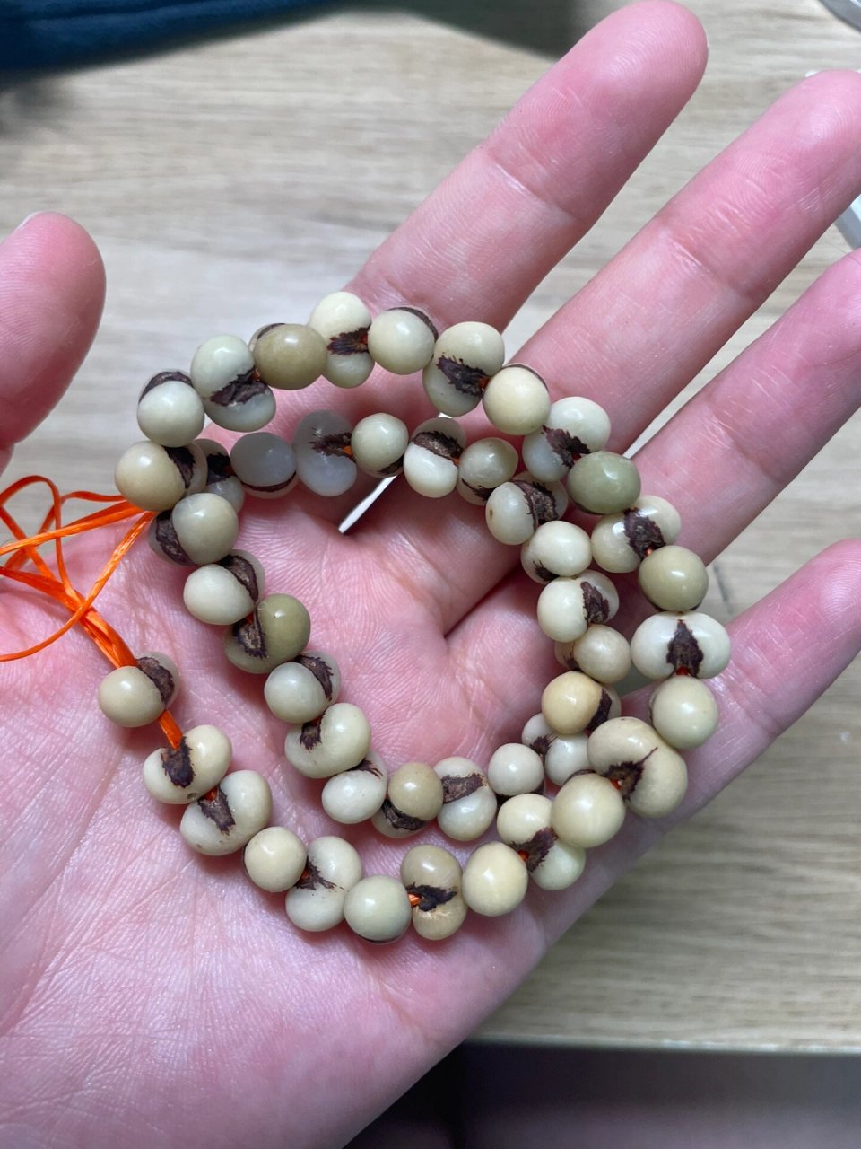 棕榈籽终于磨完啦 五月份去南京玩了一趟捡回来的,终于磨完啦,以为做