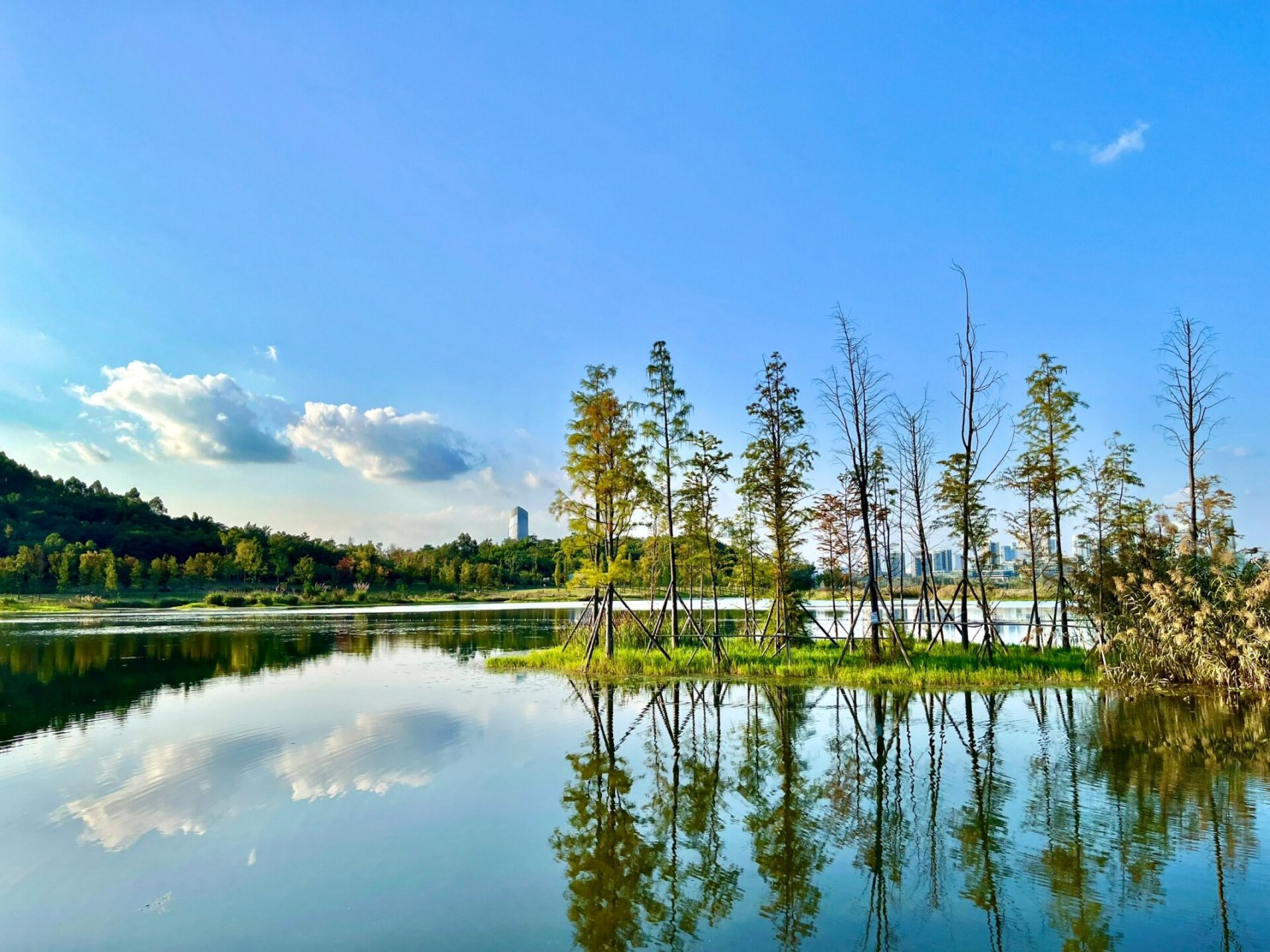 成都|興隆湖溼地公園 公園非常大,去了兩次才走完全程,還發現一隻像