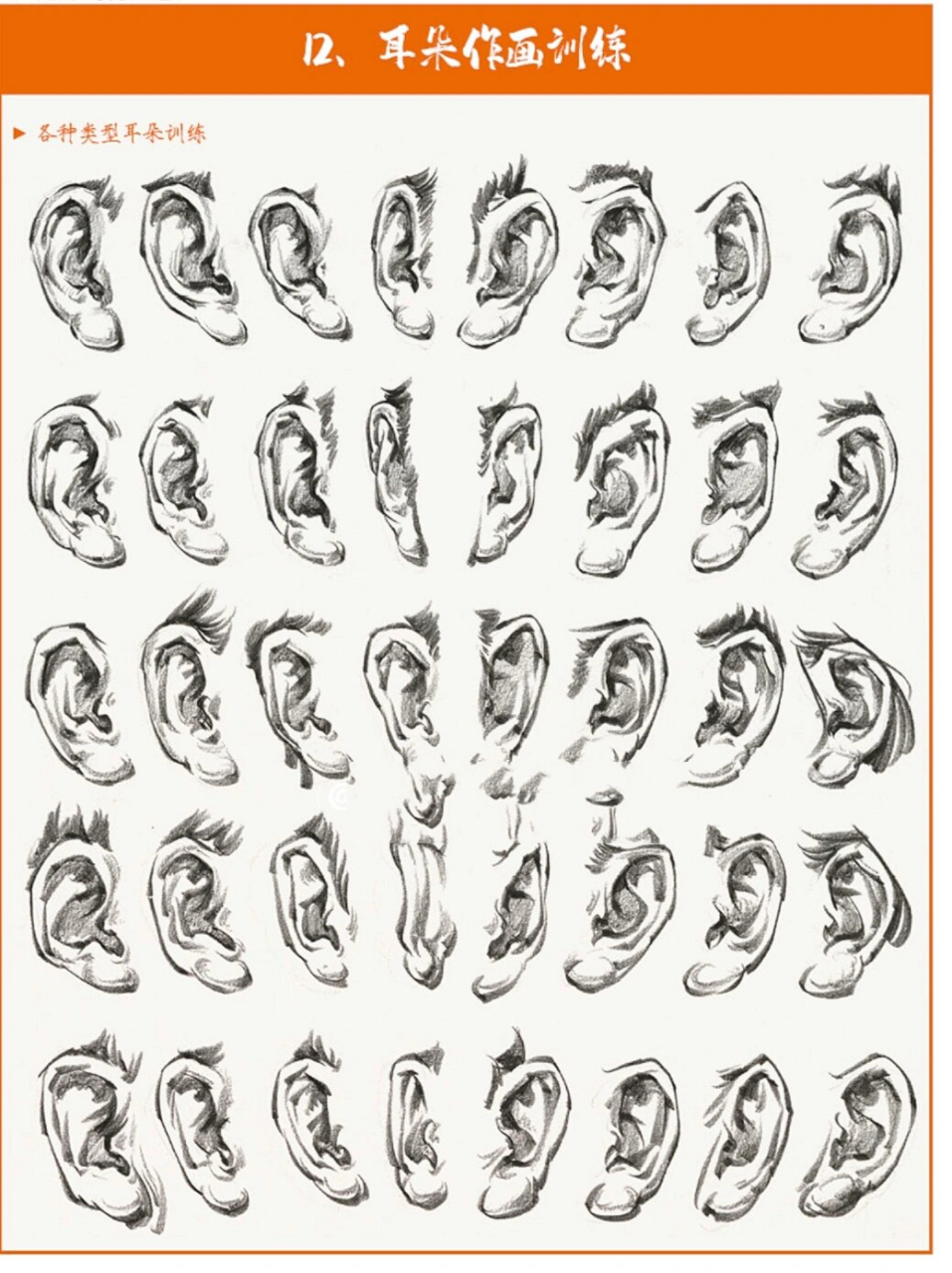 耳朵临摹姿料. 速写耳朵讲解干货.耳朵临摹姿料.