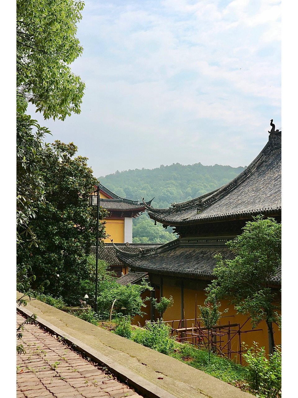 苏州包山禅寺禅修体验分享 最近内耗很厉害 遂展开一场自救之旅 	 (os