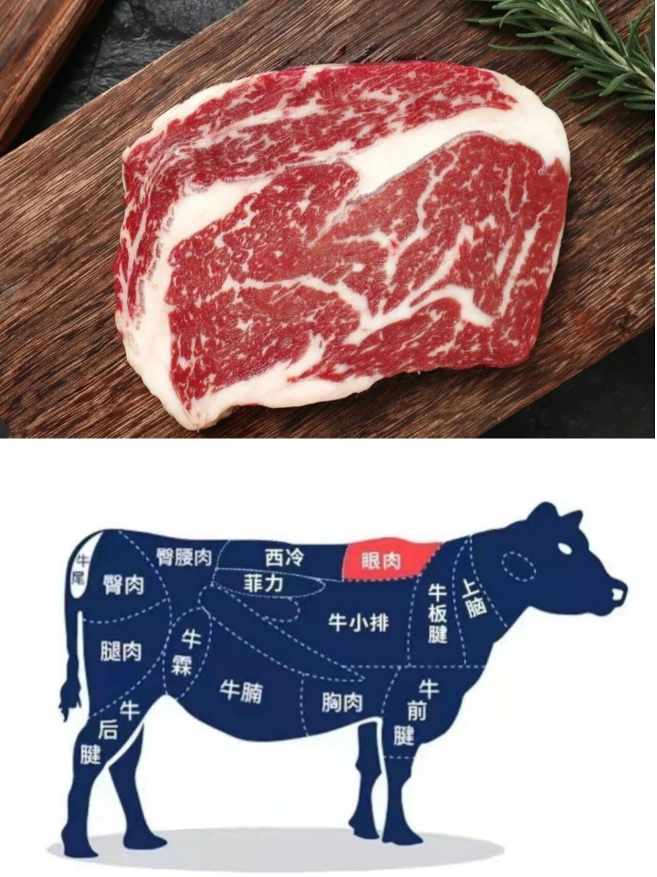 9215菲力,西冷,眼肉牛排  如何选717515 01哈喽 大家好