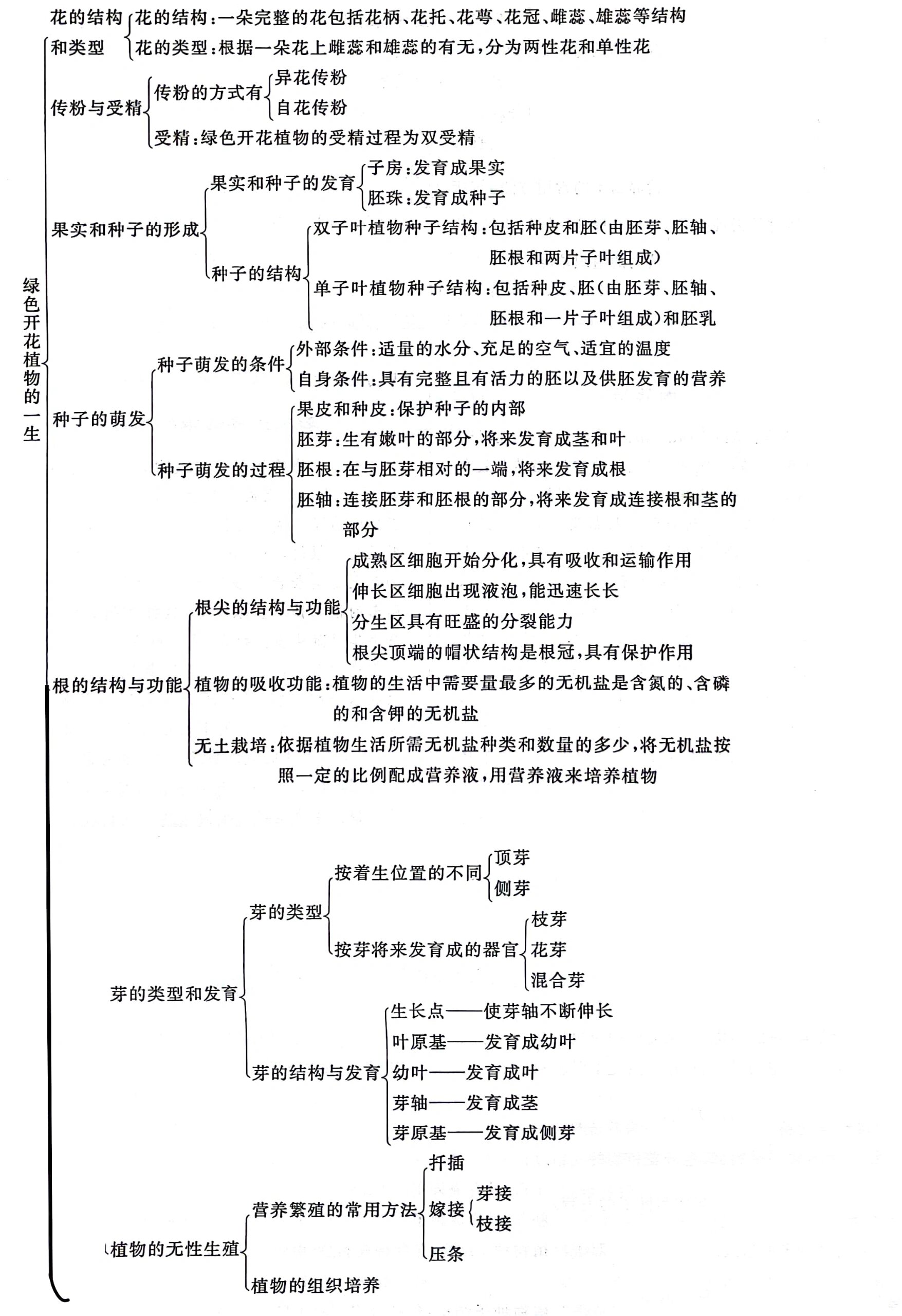 济南版八上生物思维导图