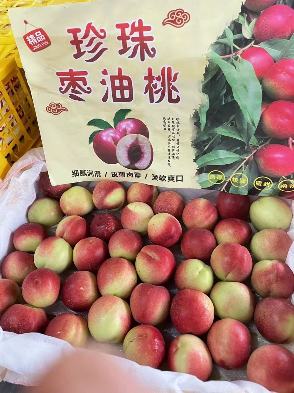 珍珠 枣 油桃 09珍珠枣油桃9999 桃子界的"细嫩小清新"9999