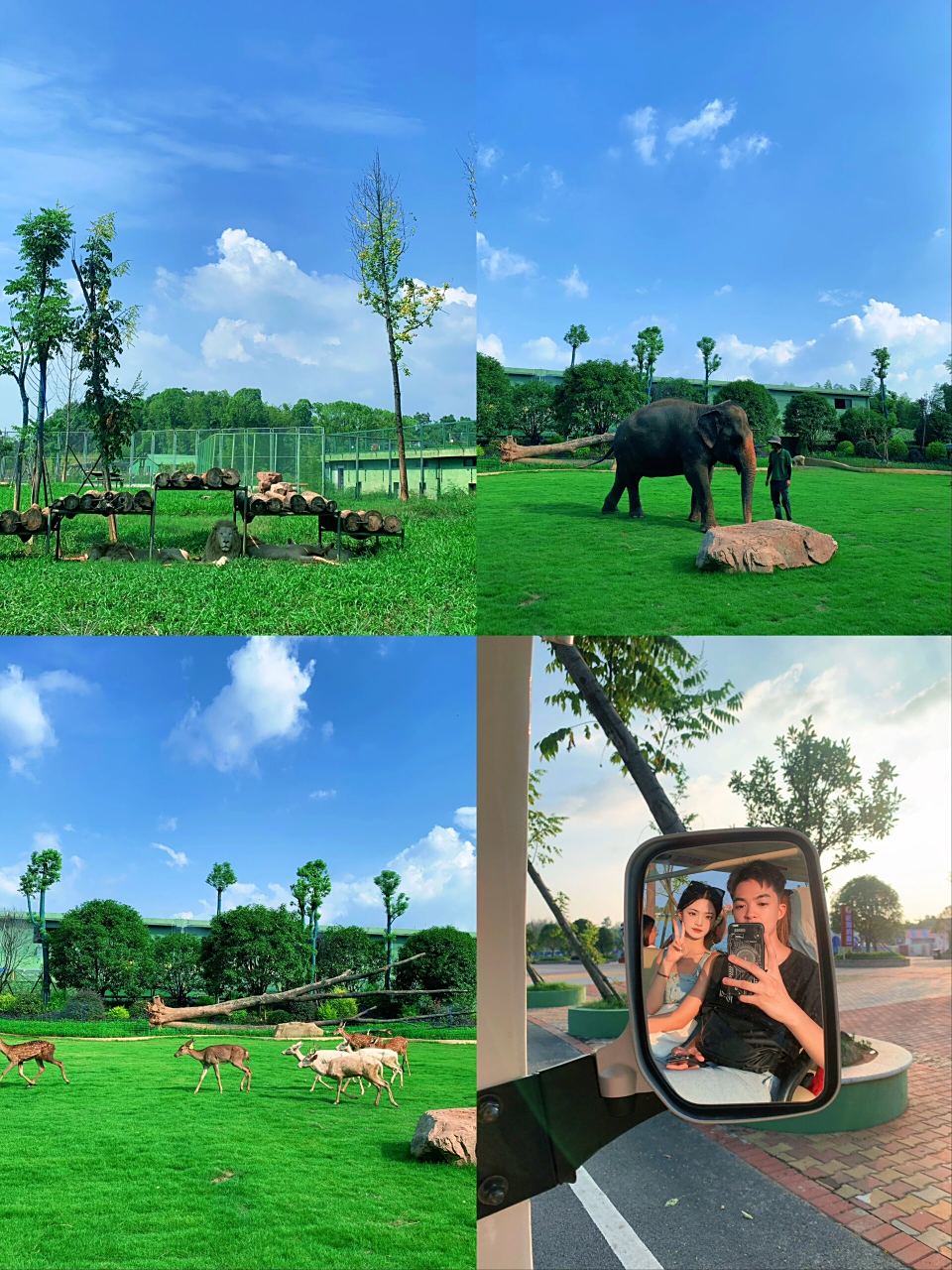 常德|汉寿野生动物世界 动物园里有什么