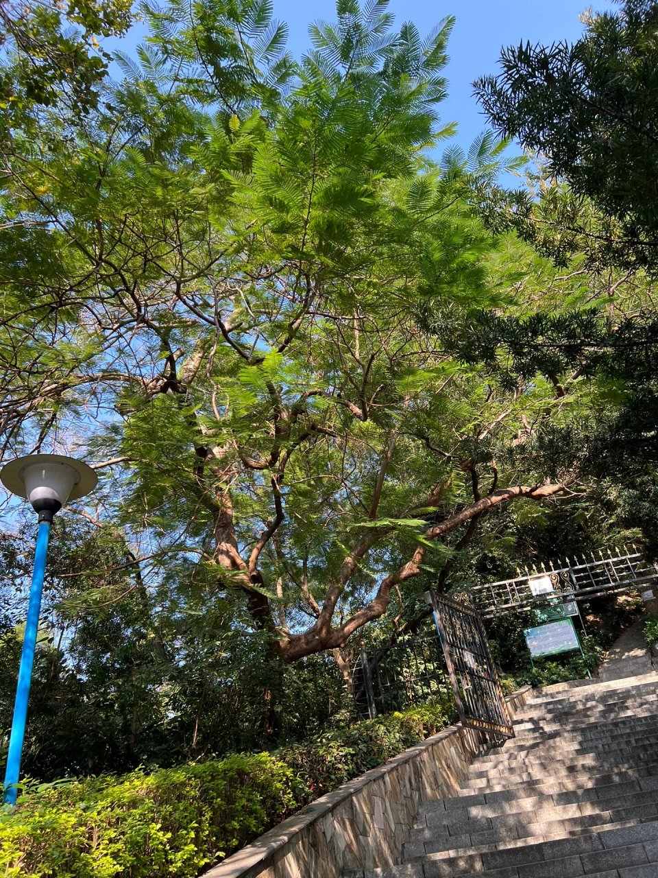 今天爬山啦7015-中山坦洲山公园72152023-11-28 山风鸟叫虫鸣