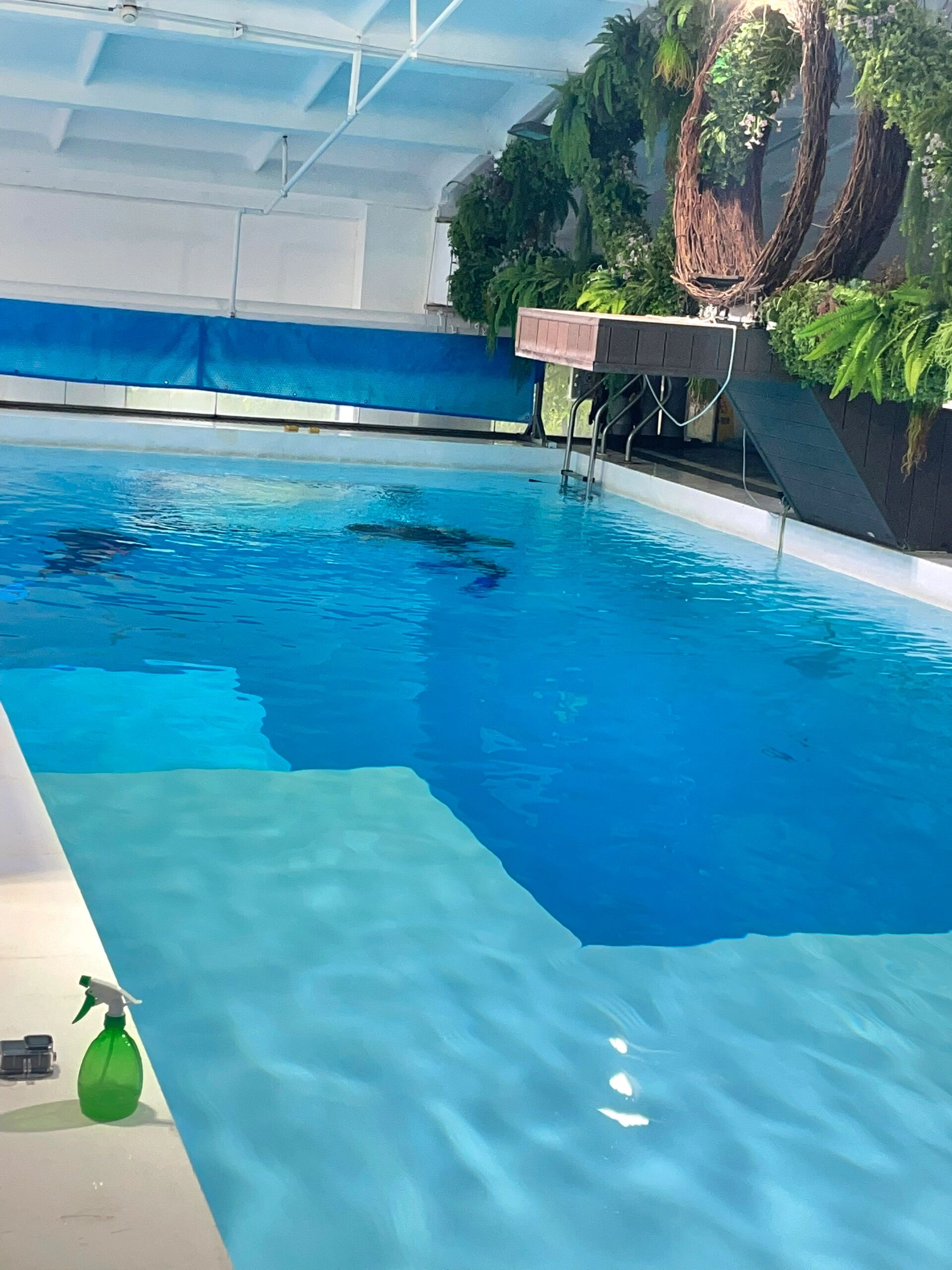 想问问大家上海有没有2米以上深水区的泳池