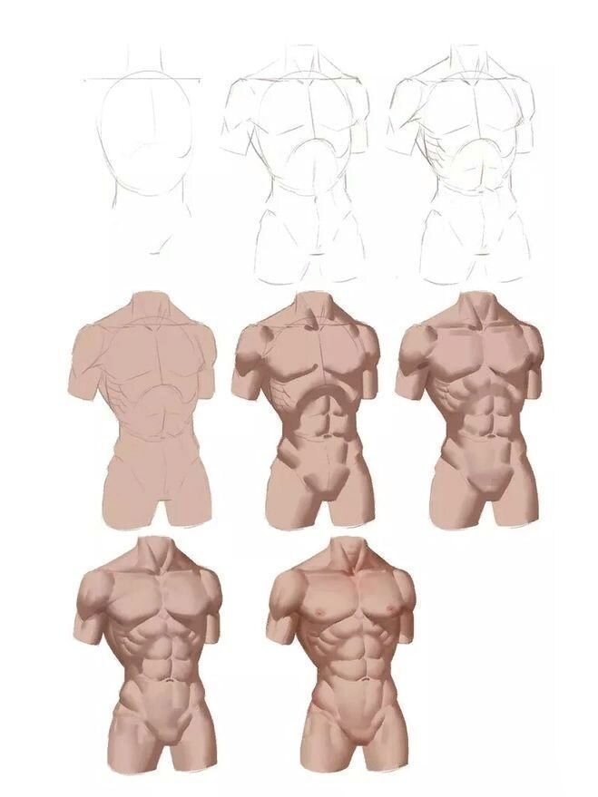 绘画参考|厚涂人物肌肉画法参考