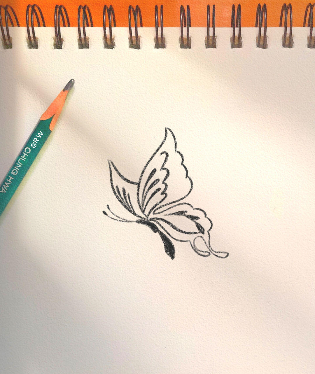 蝴蝶简笔画过程