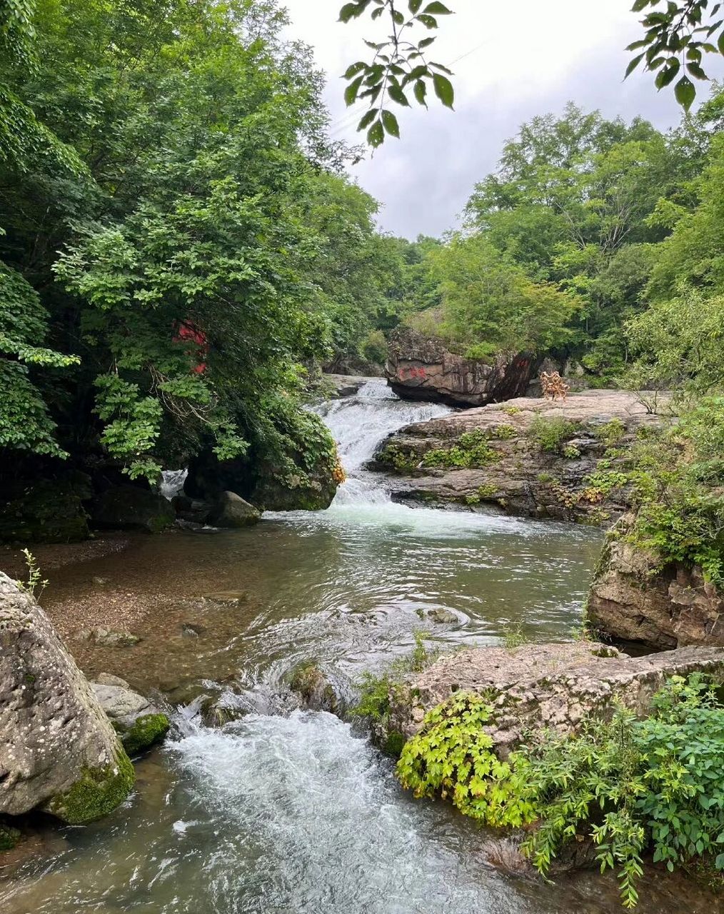 丹东青山沟游玩攻略 95青山沟风景区群山环抱,层峦叠嶂,以自然风景