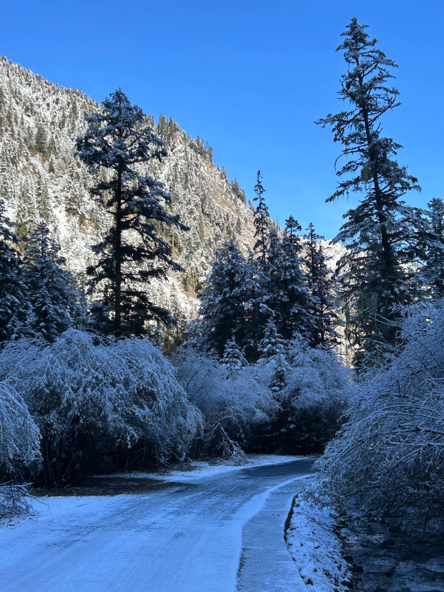 绵阳雪景旅游景点图片