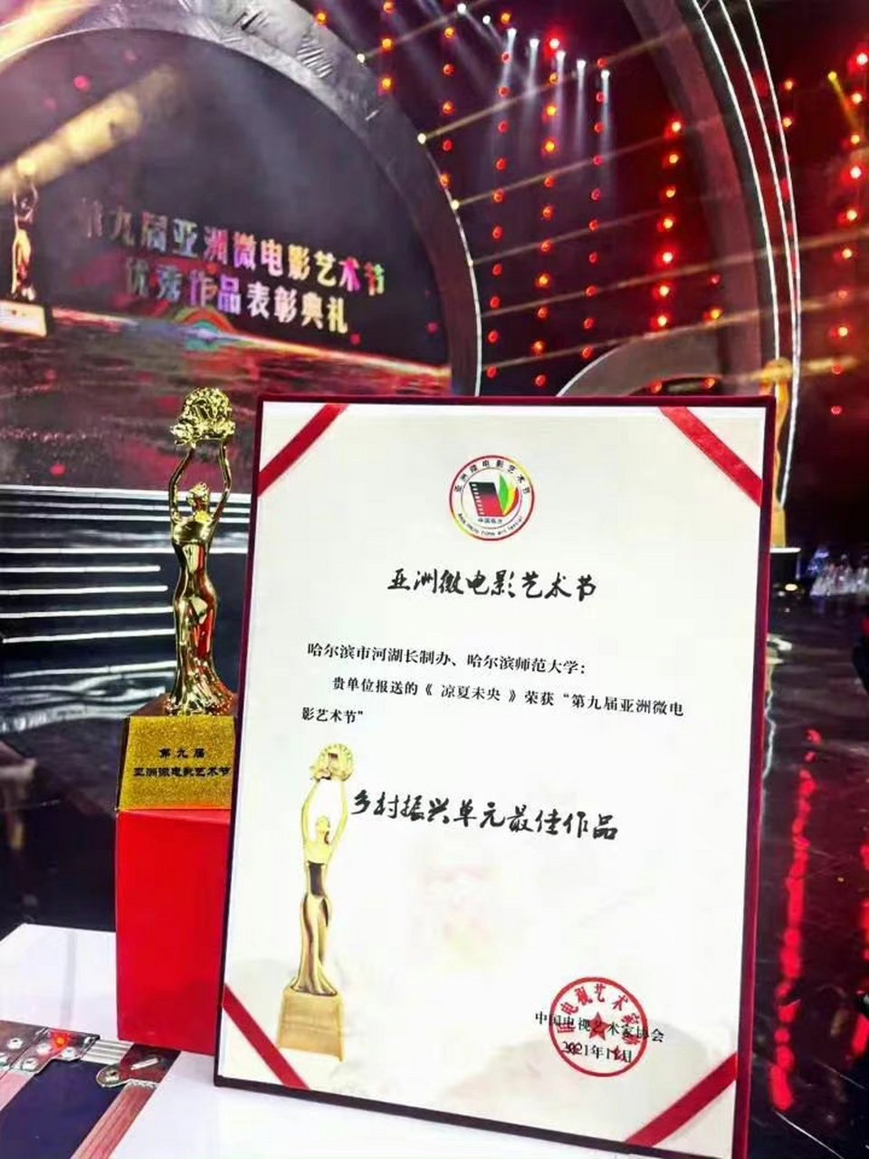 近日,由我校传媒学院师生团队创作的微电影《凉夏未央》荣获中国电视