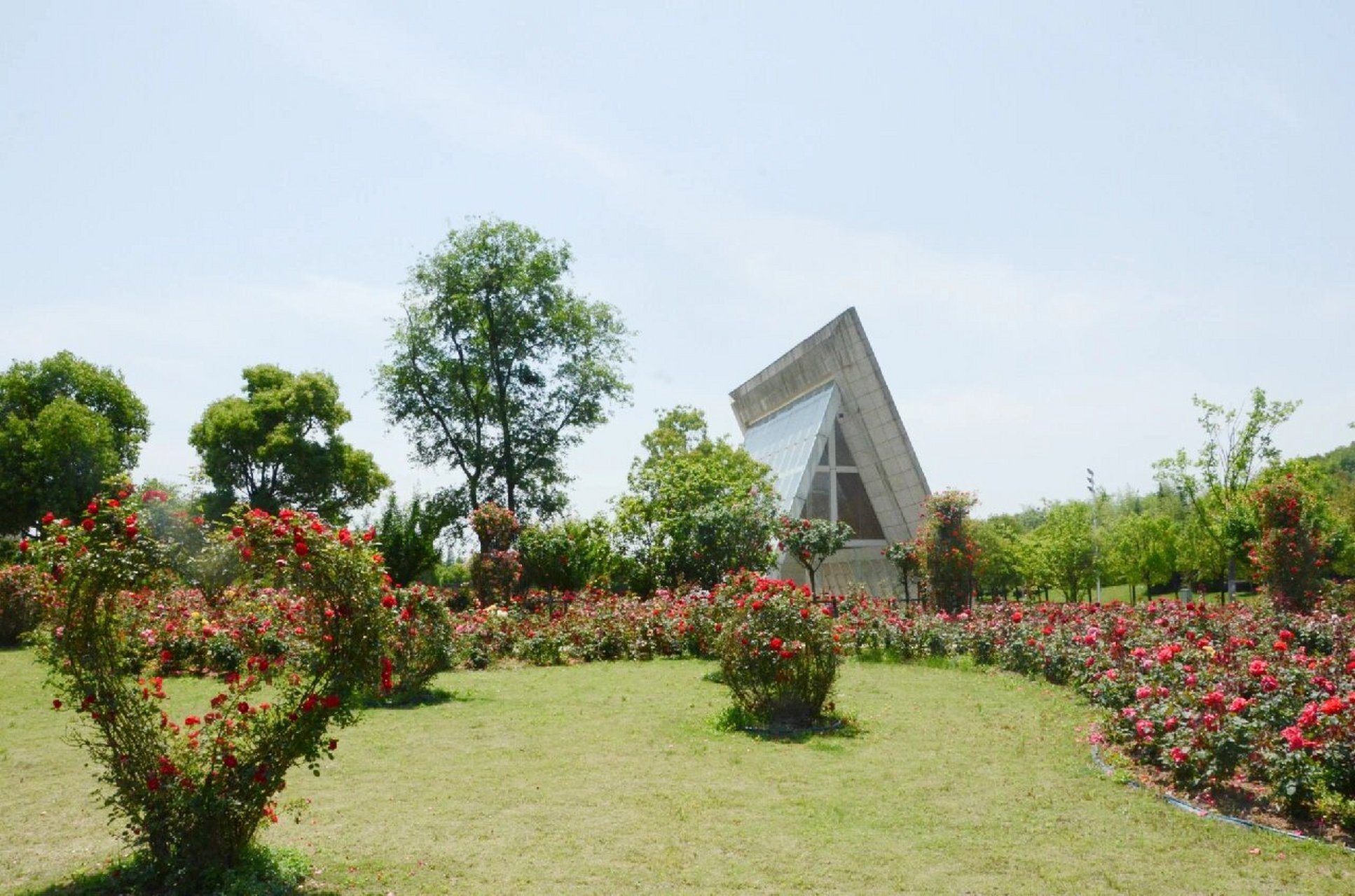合肥小众遛娃地——鹭山湖 在合肥,想选一个人少,景美,又好玩的遛娃地