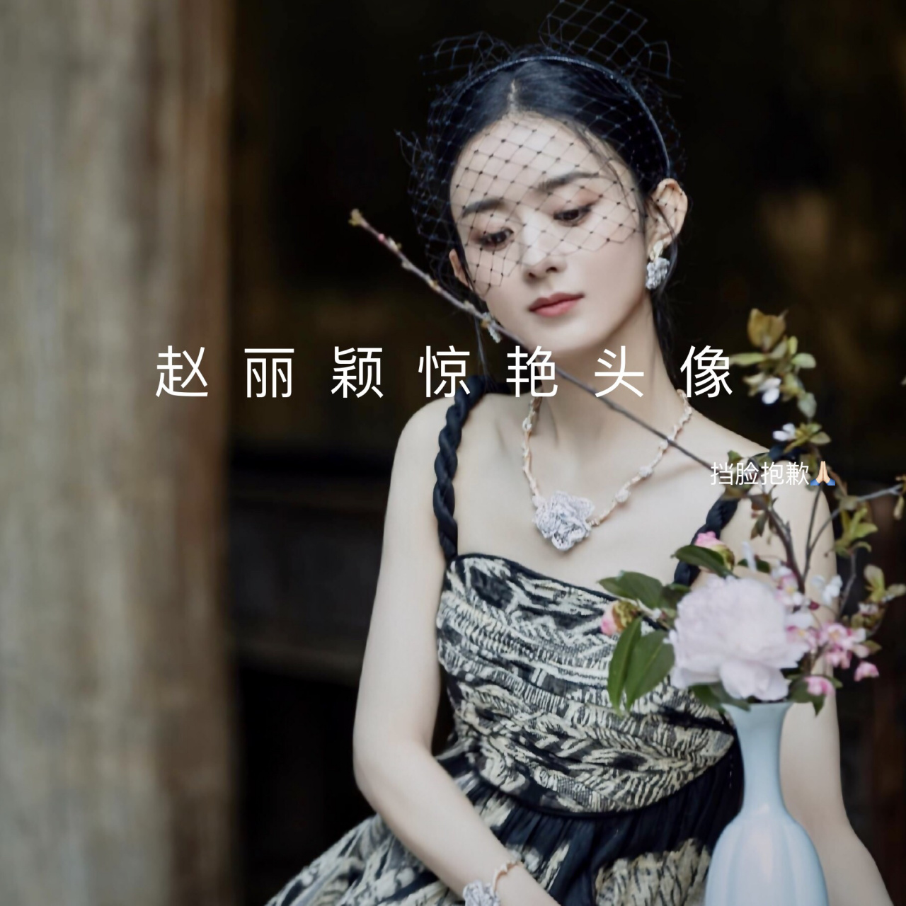 赵丽颖惊艳头像「第四弹」 请大数据把我推荐给颖火虫图片来自某度后