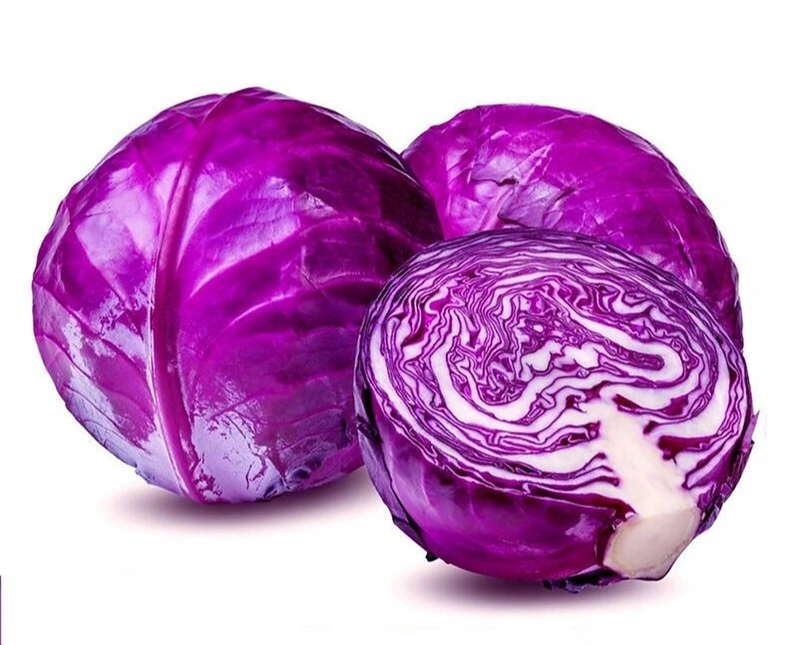 紫甘蓝绘画素材整理分享