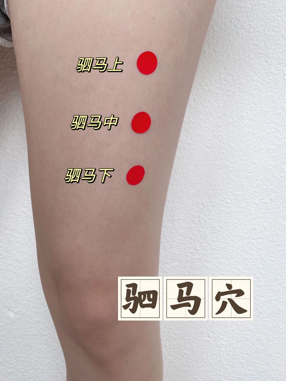 识穴第40篇|【驷马穴】肺炎,鼻炎,中耳炎 【董氏针灸·驷马穴】 胁肋