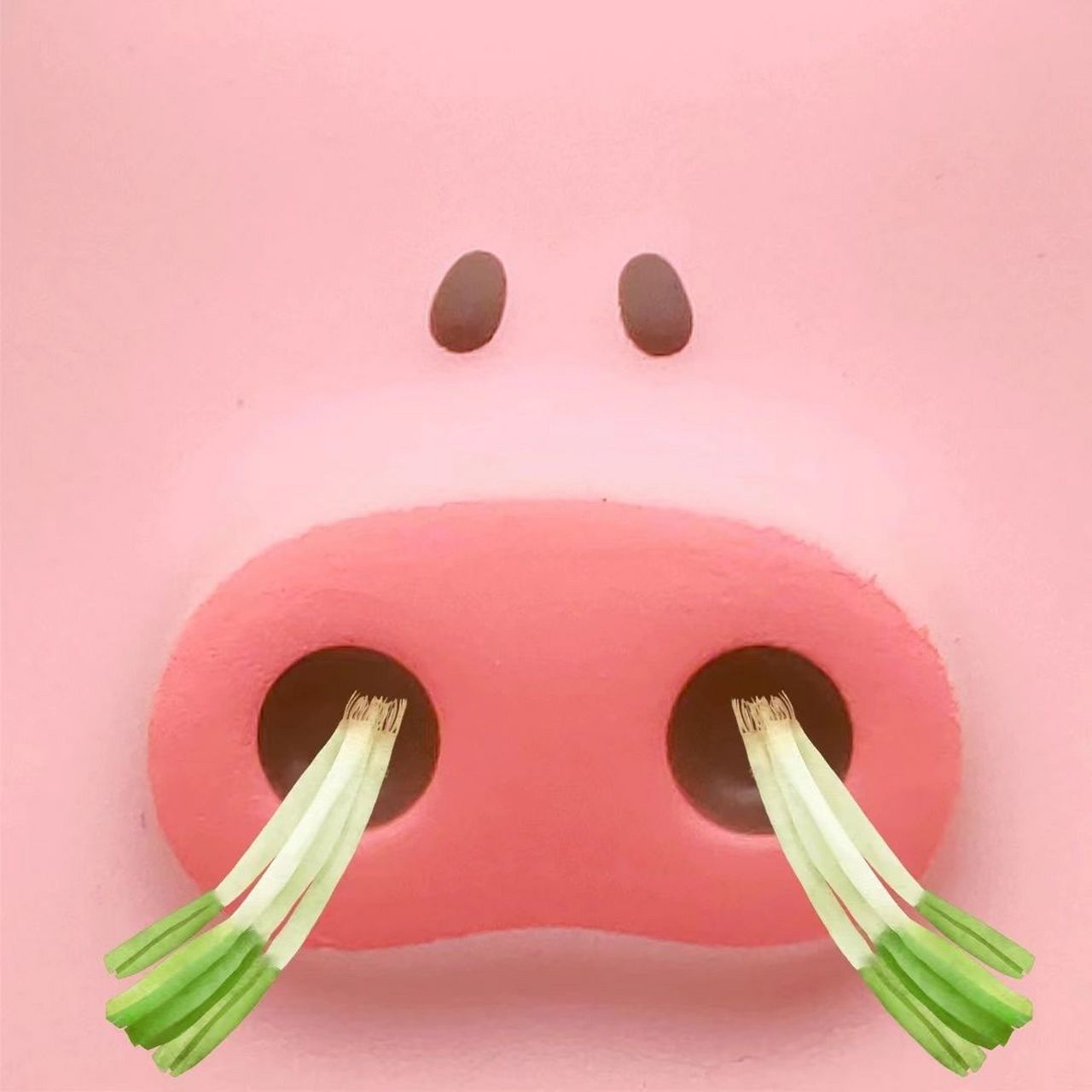 95猪猪表情包|"你可真是猪鼻子插大葱" "装象"91