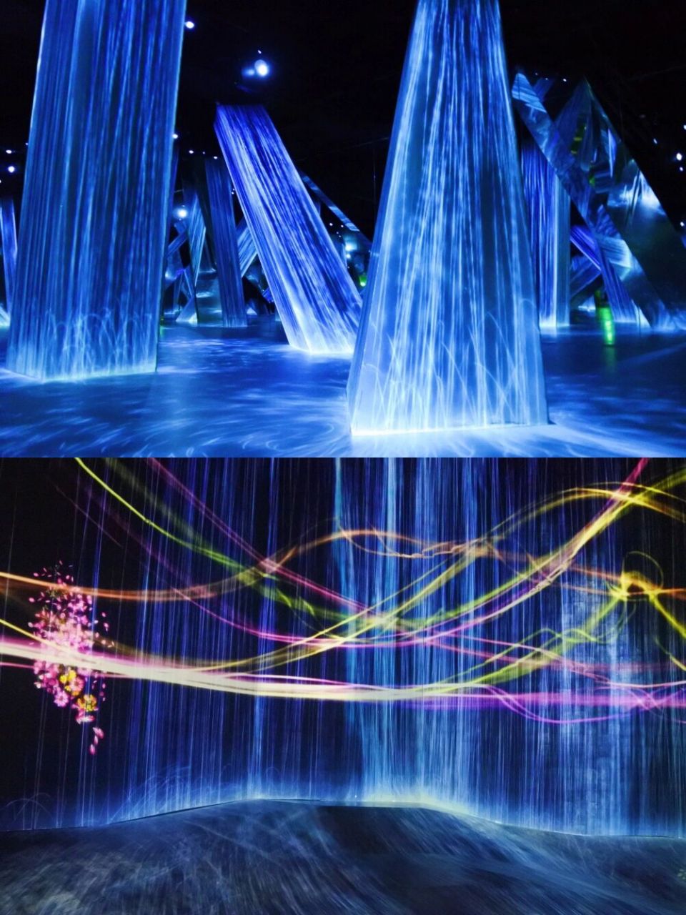 上海teamlab无界美术馆|感受光影艺术的魅力  91近几年上海举办了不