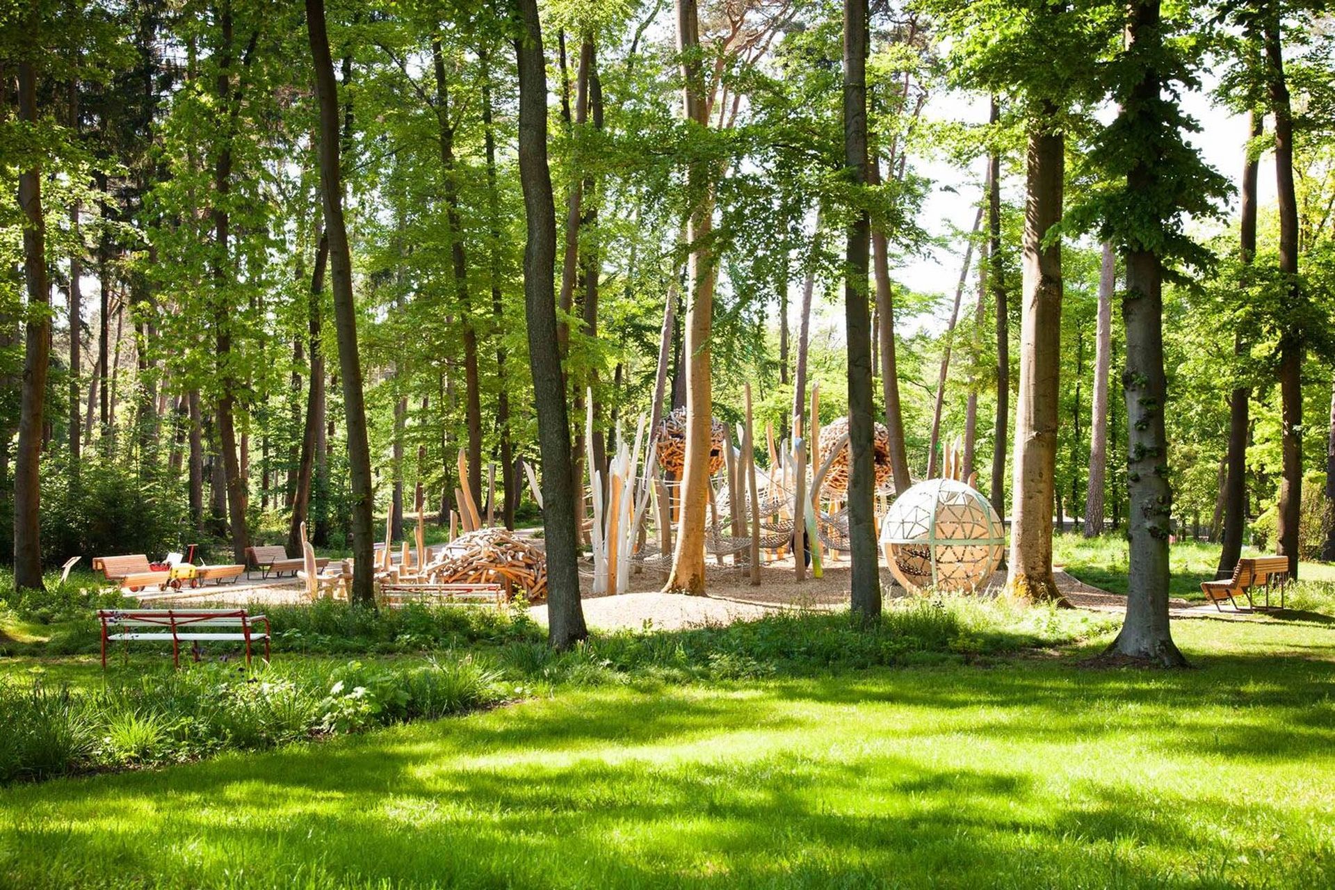 森林疗愈公园 forest park in bad lippspringe by sinai / 图源