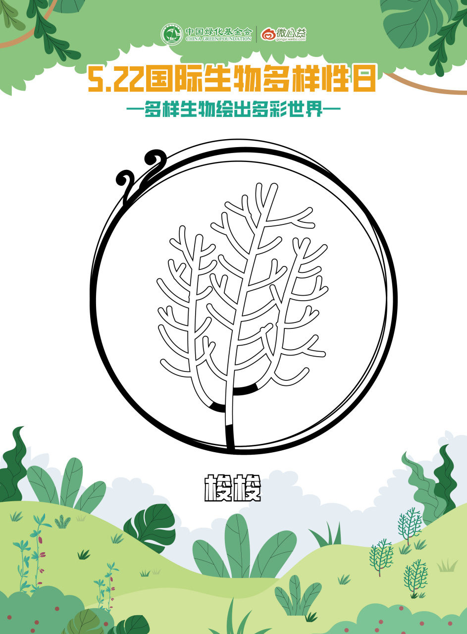 森林驿站#