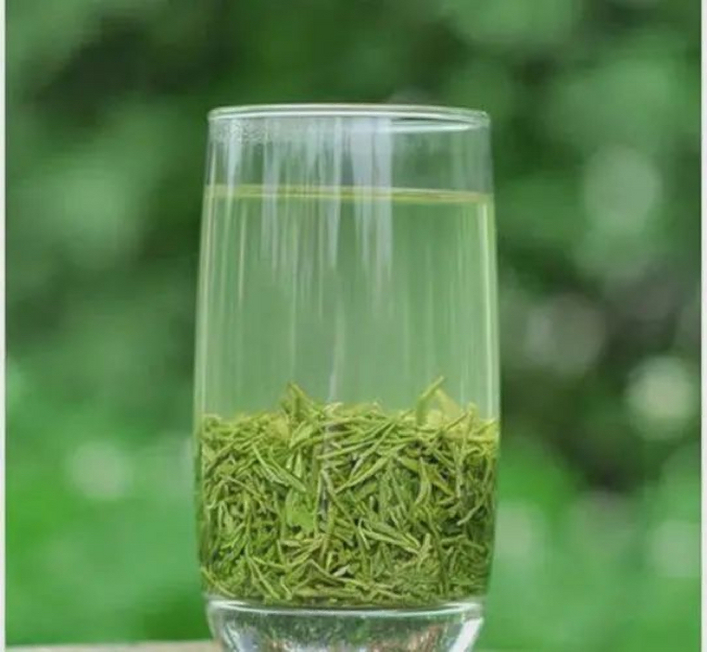 信阳毛尖茶汤浑浊好还是清澈好?