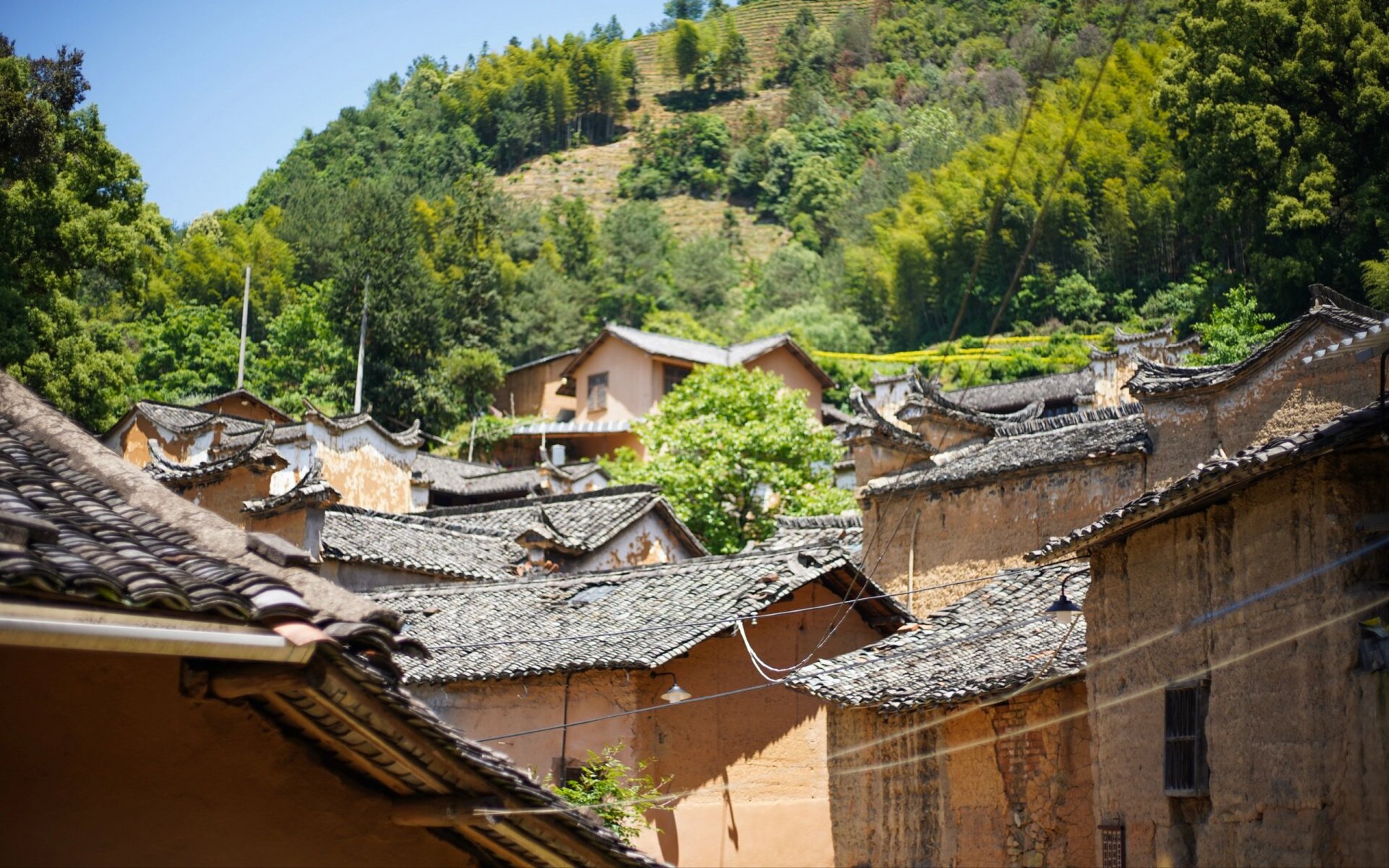 游在松阳:  松阳必去地盘点 陈家铺村:阳光,树影,黄墙,黛瓦,古典又