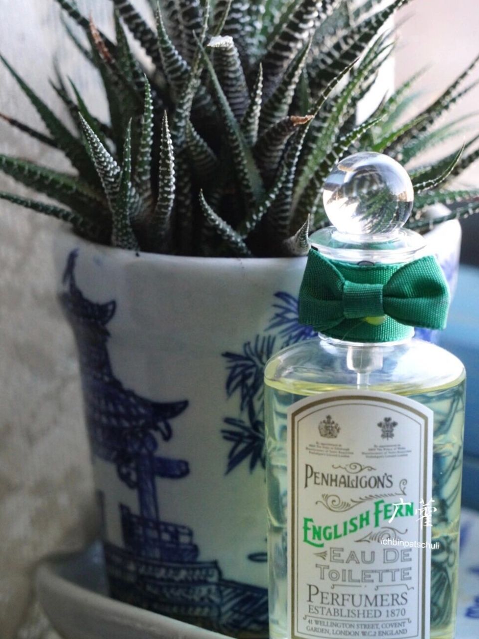 广藿穿香|潘海利根英伦羊齿english fern #香水# #潘海利根# 家里新添