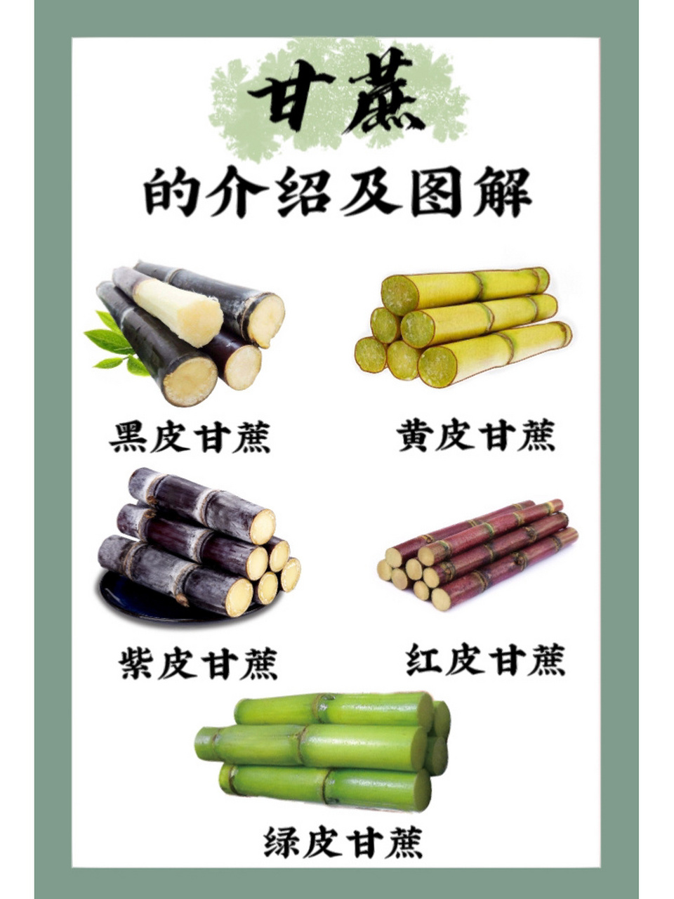 为什么有人吃甘蔗会口腔溃疡? 8715吃甘蔗上火吗 一般不会上火.