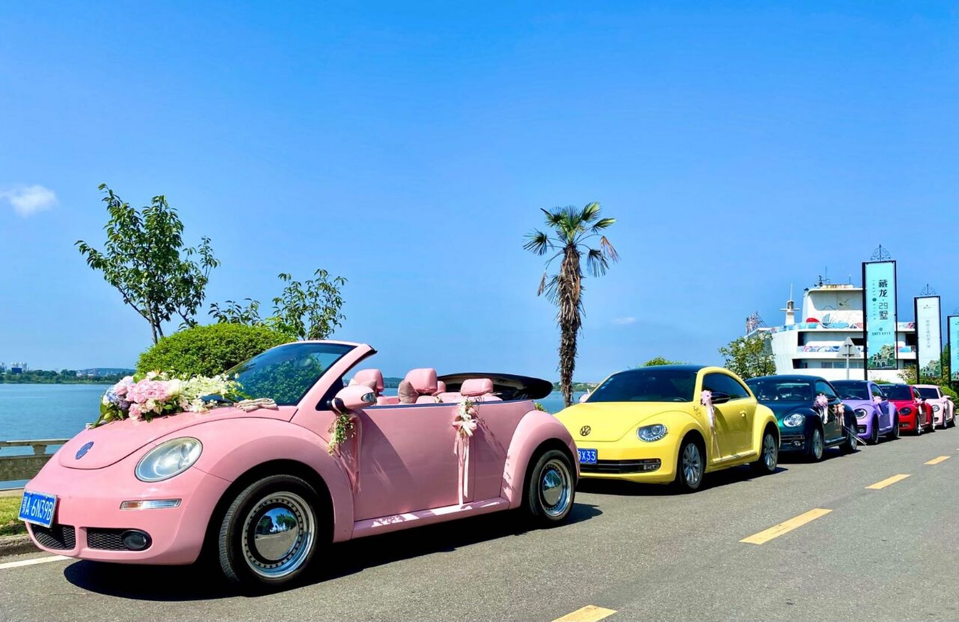 江城·武汉租婚车注意事项96 以上车型:甲壳虫 060606 96