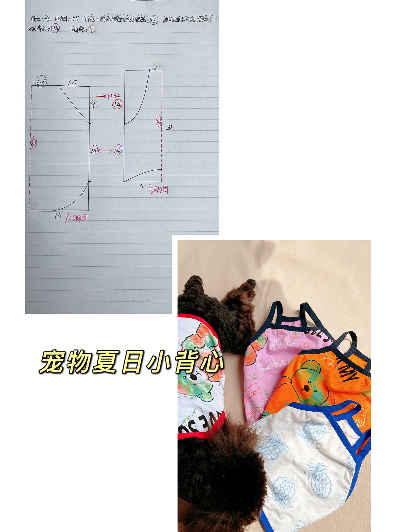 diy狗子小背心