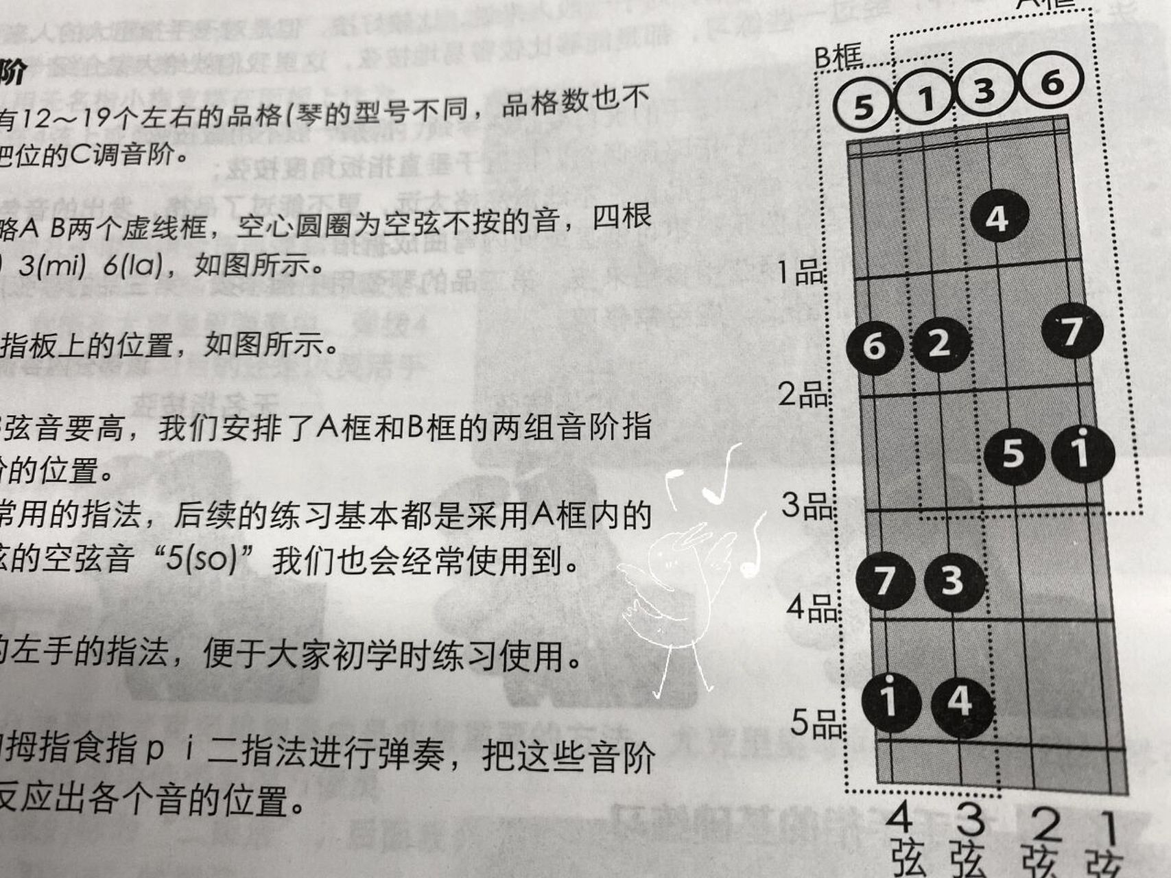 尤克里里之音阶小知识来啦~94 今天我只用了一个小时就搞懂了音阶