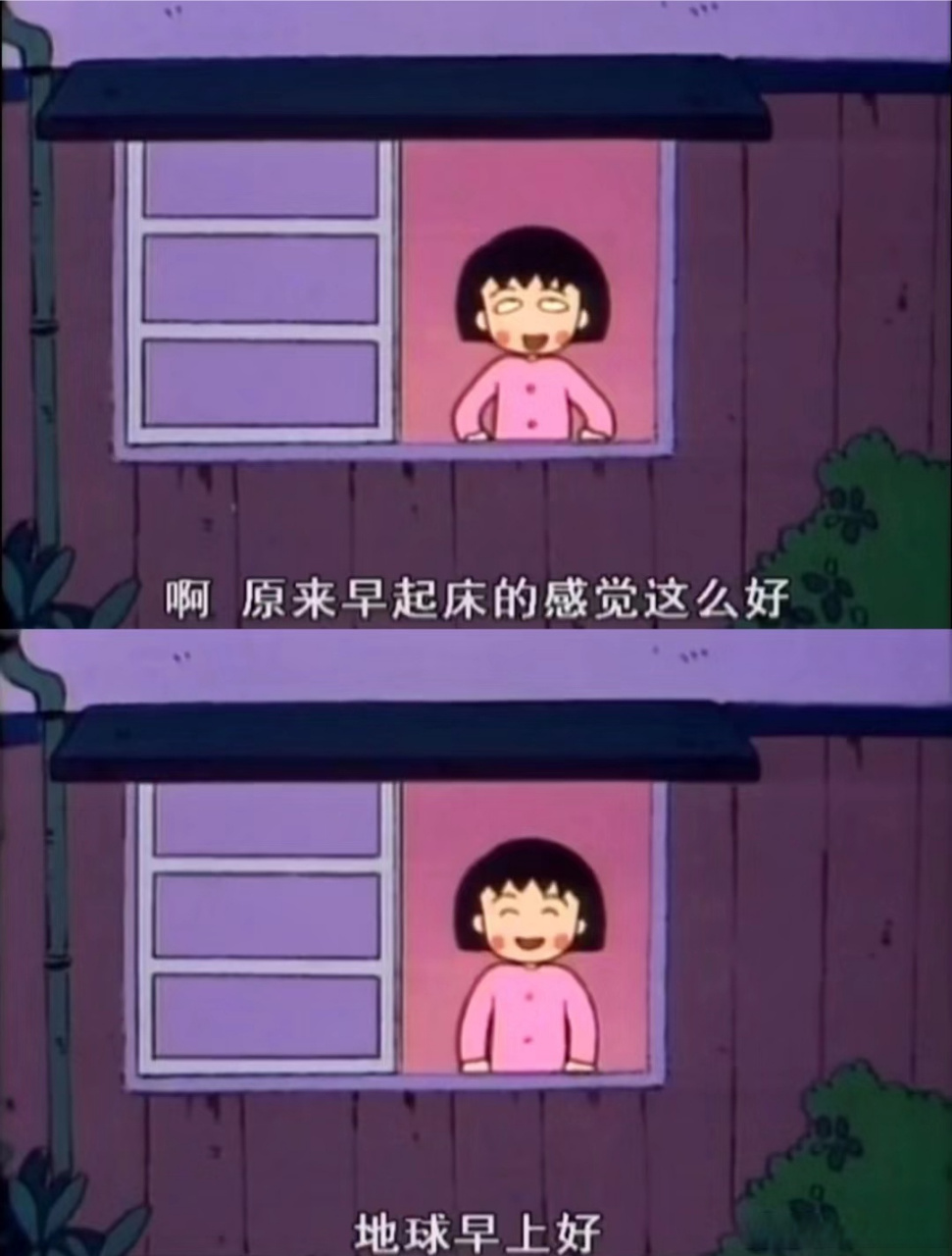 来自小丸子的早上好,今天你早起了吗