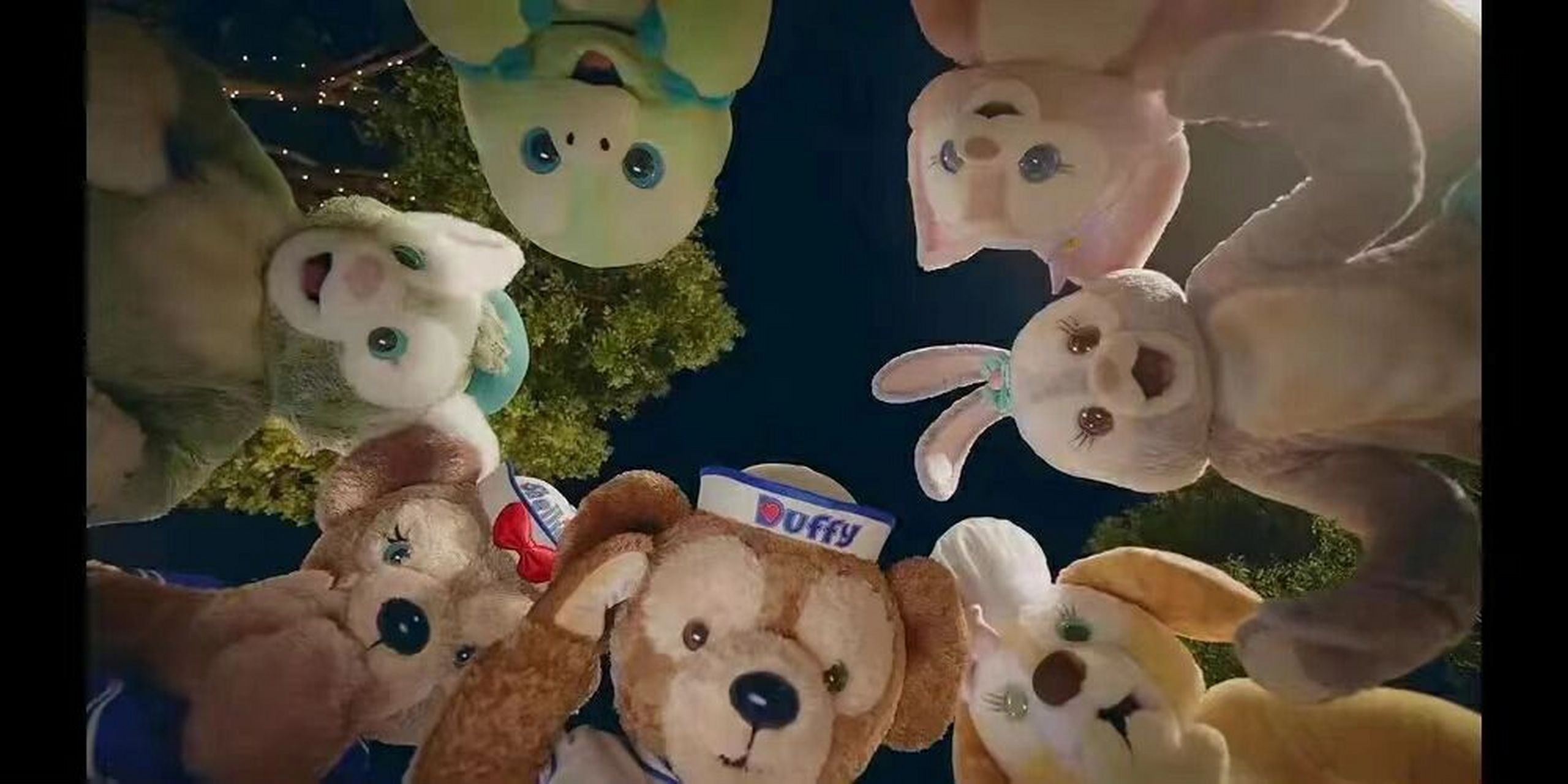 微信背景墙照片来啦 欢迎自取