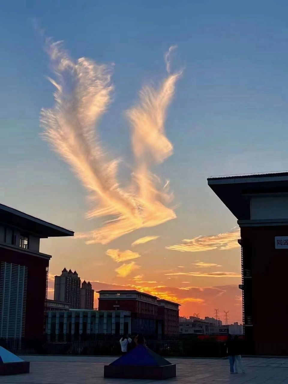 南昌凤凰云☁️吉祥云 今天的云☁️像凤凰一样浴火重生凤凰