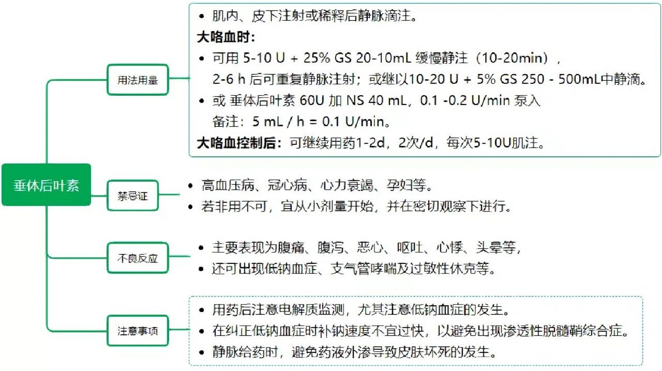 垂体后叶素血管加压素图片