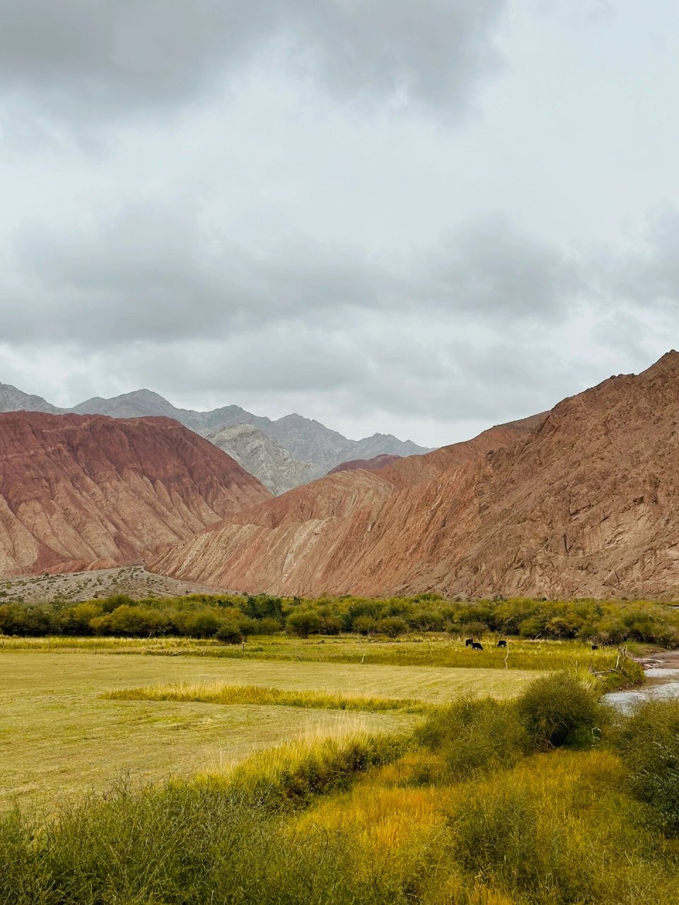 天山昆仑山交汇风景区 实在是太好拍了 从喀什自驾开始,一路的七彩