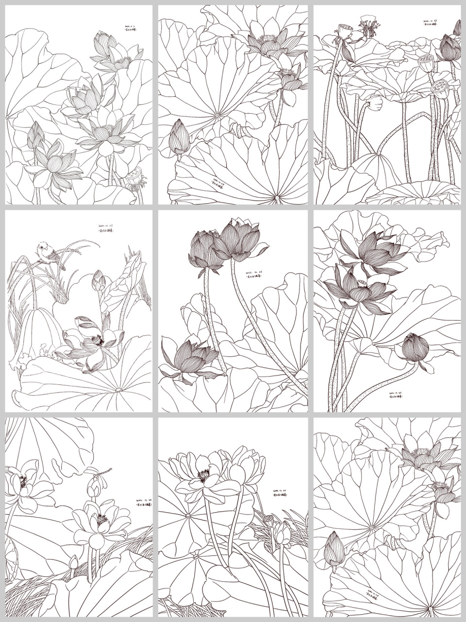 控笔练习-荷花【合集】 控笔练习,尝试描摹线稿来练习线条控笔 98