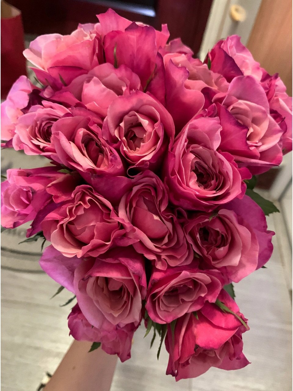 雅致是一款我觉得从生花苞到盛绽都很美的玫瑰 花期不是很长,胜在头