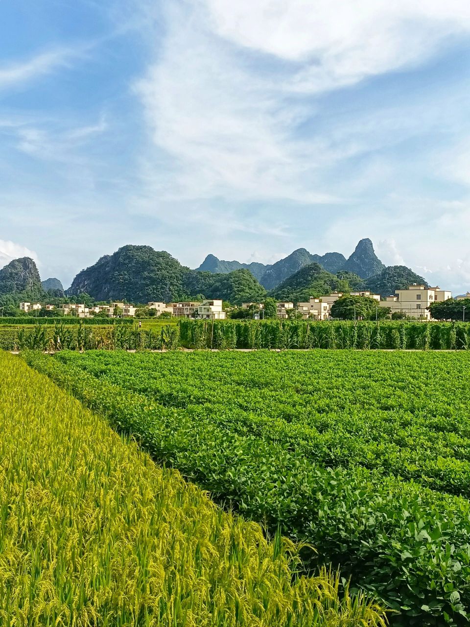 百里画廊-水墨阳春马兰风光 97广东省阳春市马水镇马兰村,被秀美