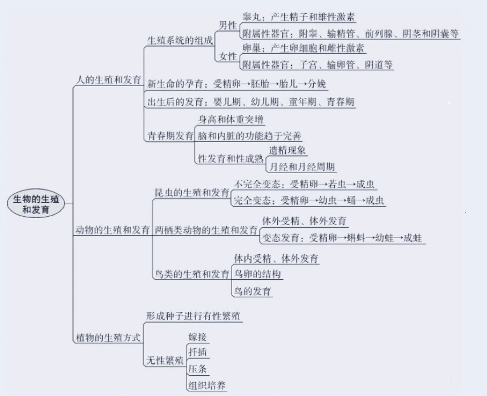 八上生物思维导图全书图片