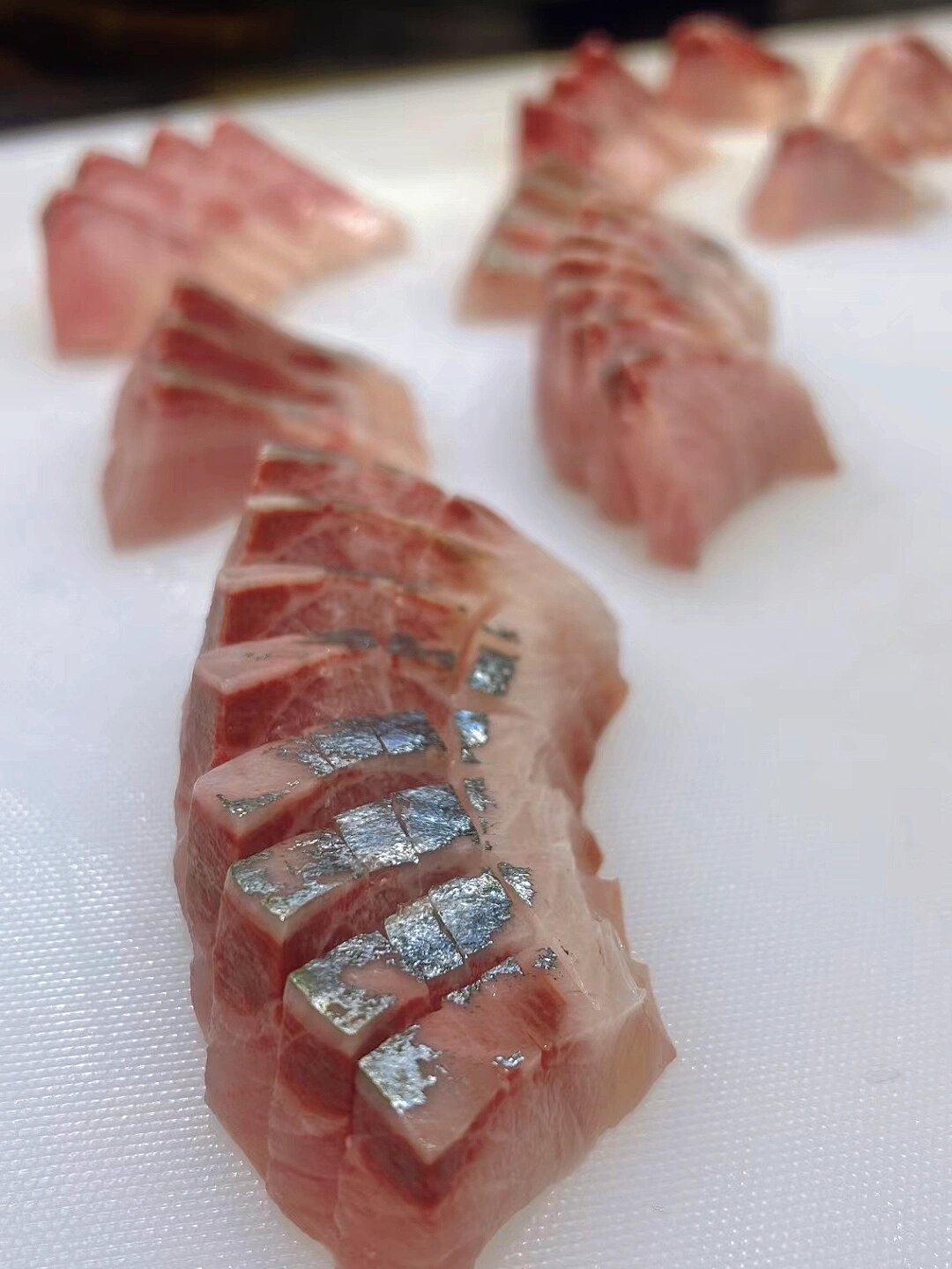 池鱼王(大竹荚鱼) 传说中的池鱼王又叫大竹荚鱼